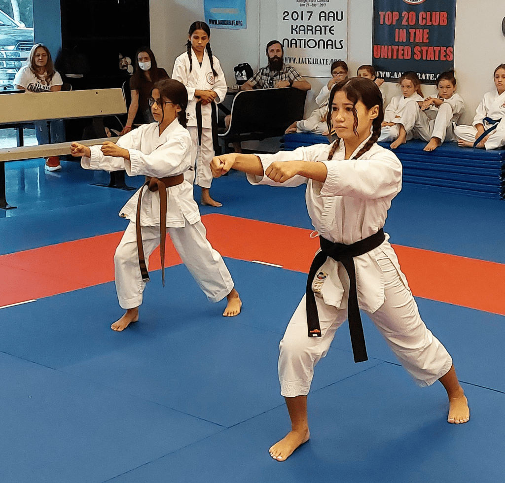 Two students in karate uniforms perform a stance during class while others watch from the side of the dojo.